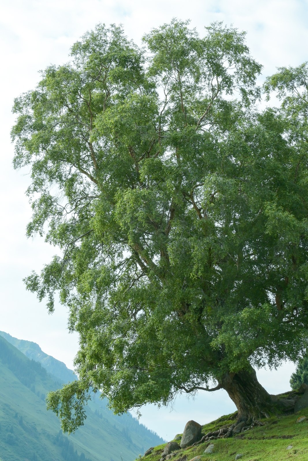 未命名项目-033 14