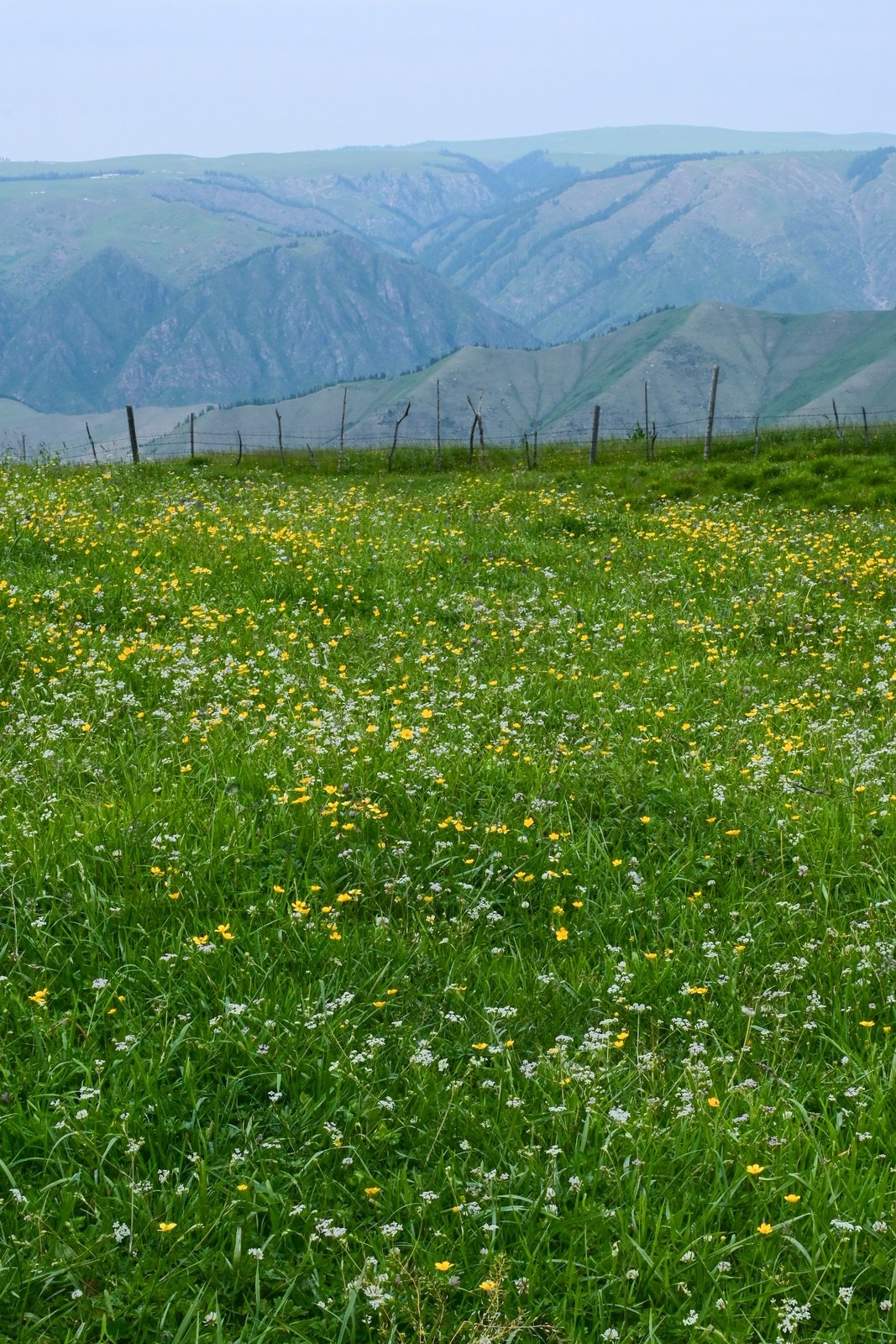 未命名项目-035 28