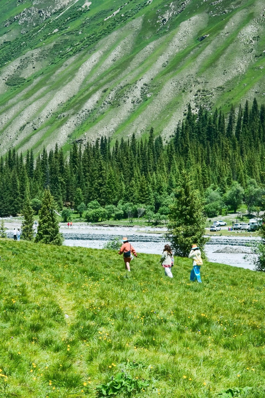 未命名项目-041 06