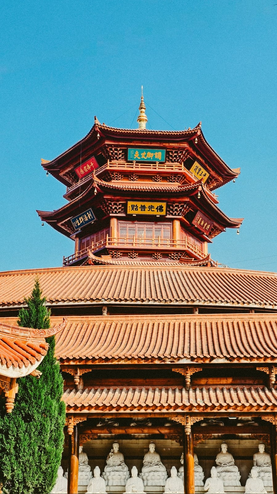 未命名项目-006 03