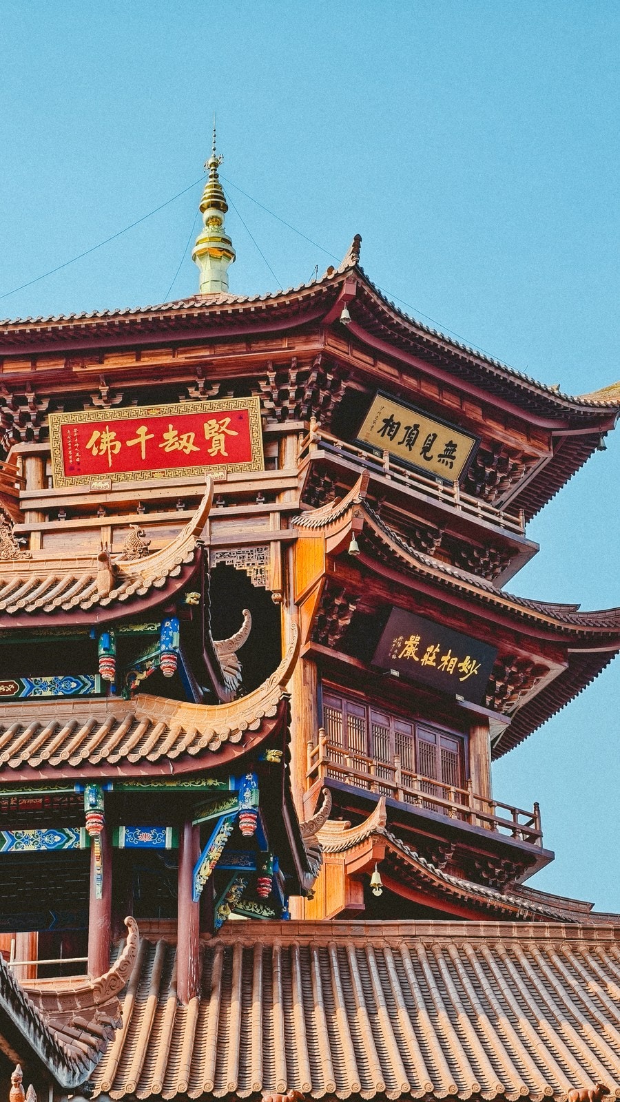 未命名项目-006 08