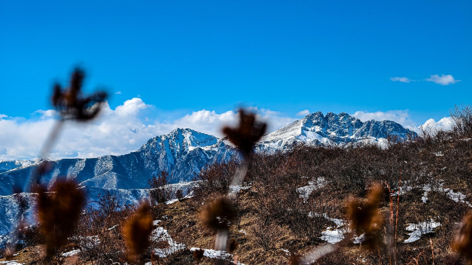未命名项目-020 03