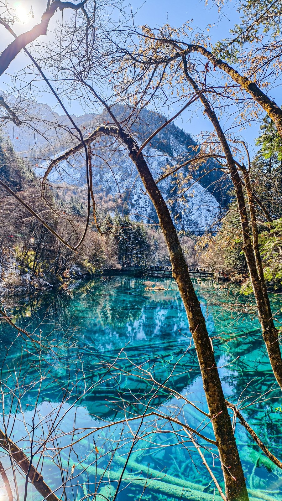 未命名项目-027 11