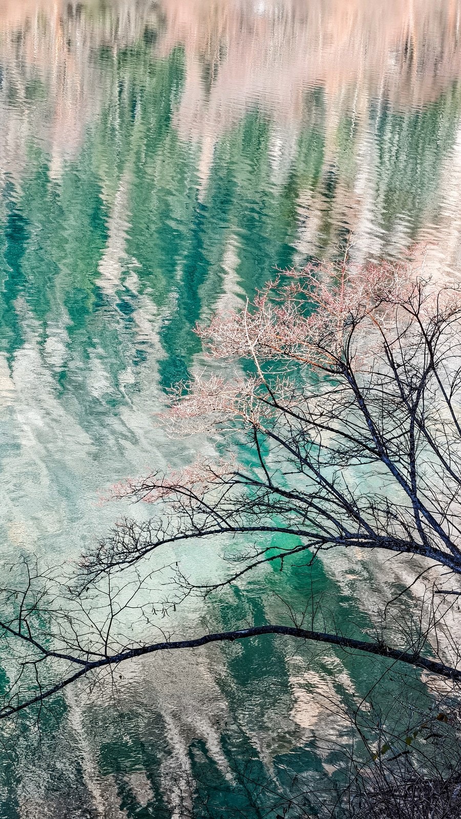 未命名项目-028 27