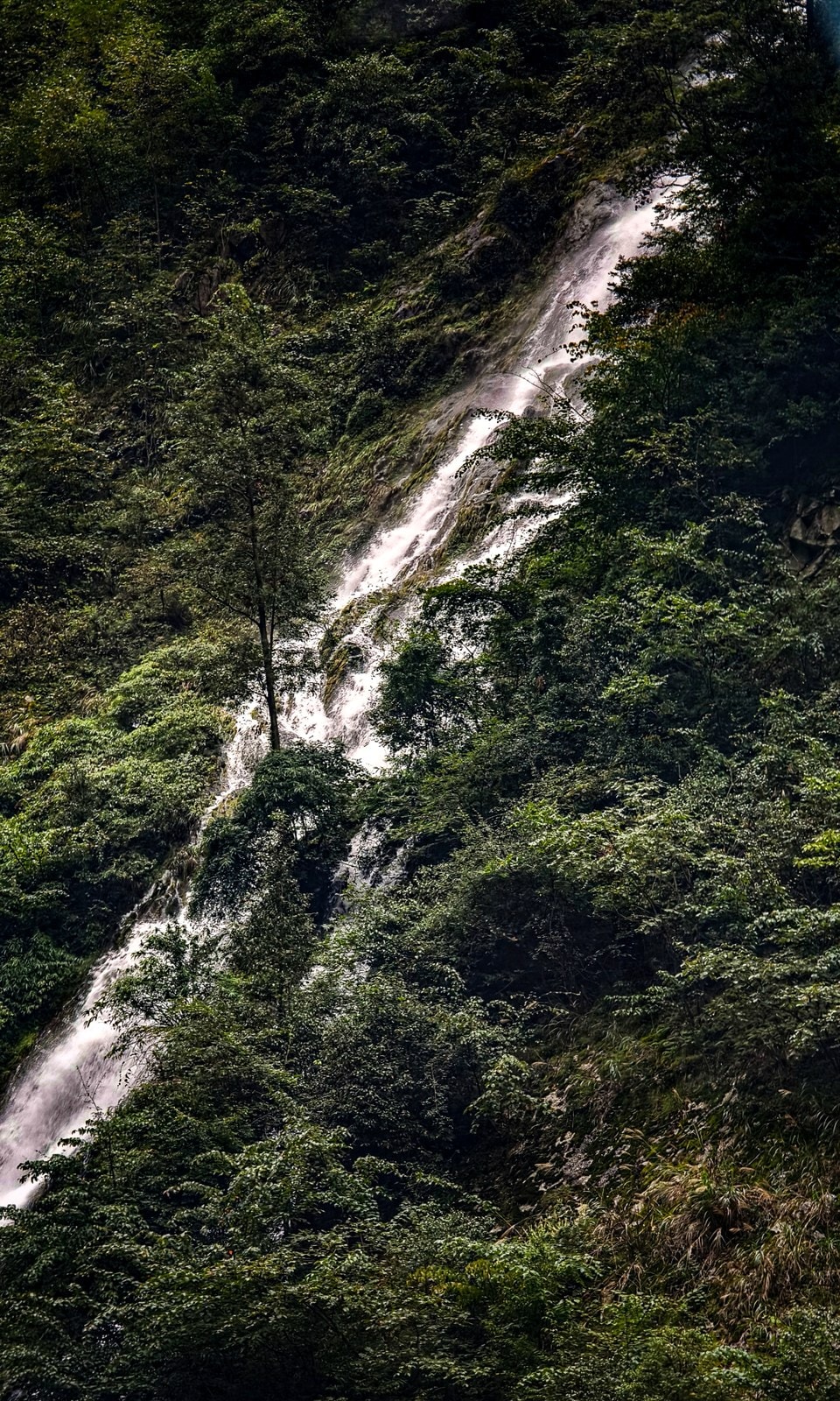 未命名项目-054 04