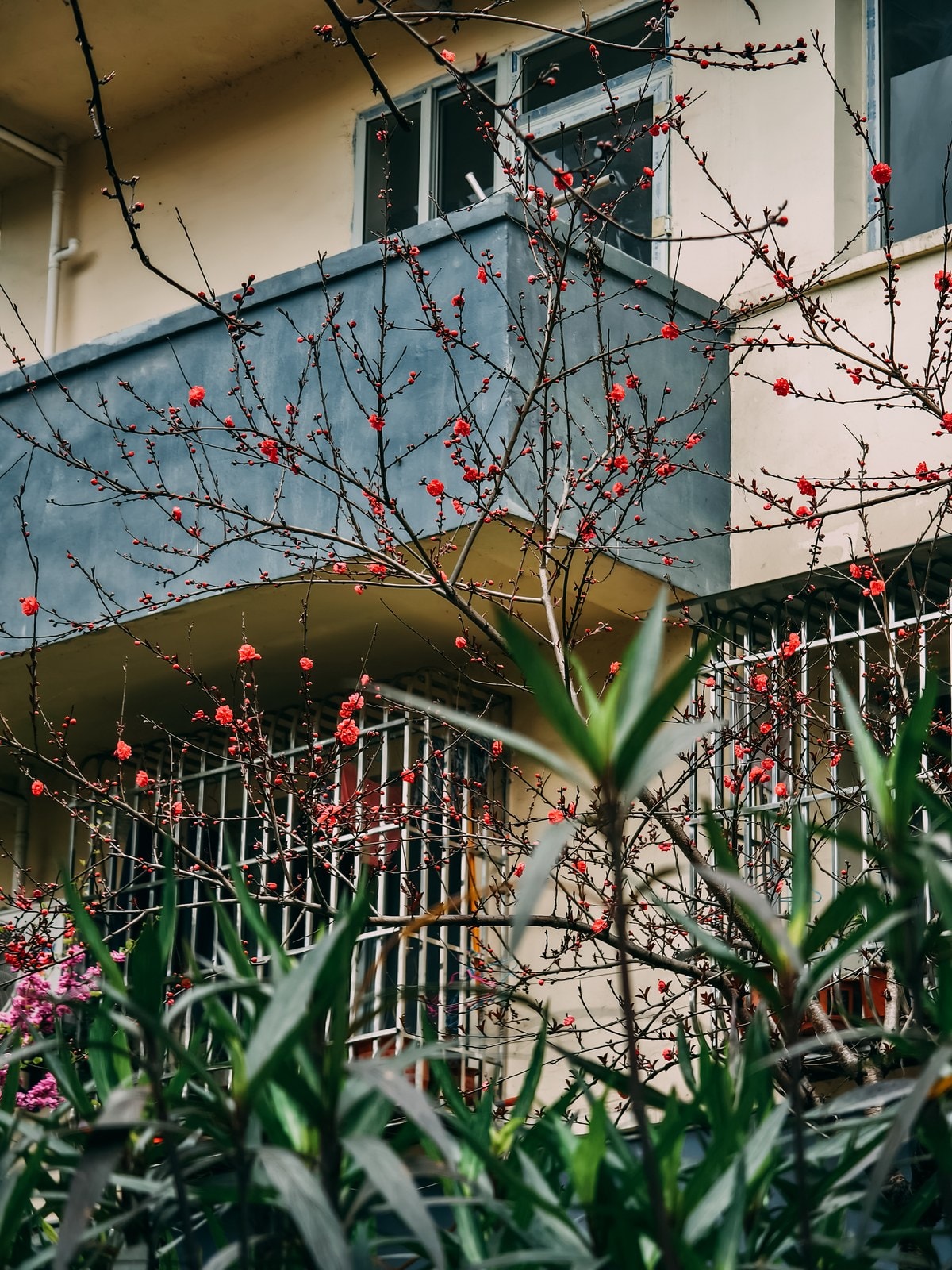未命名项目-079 08