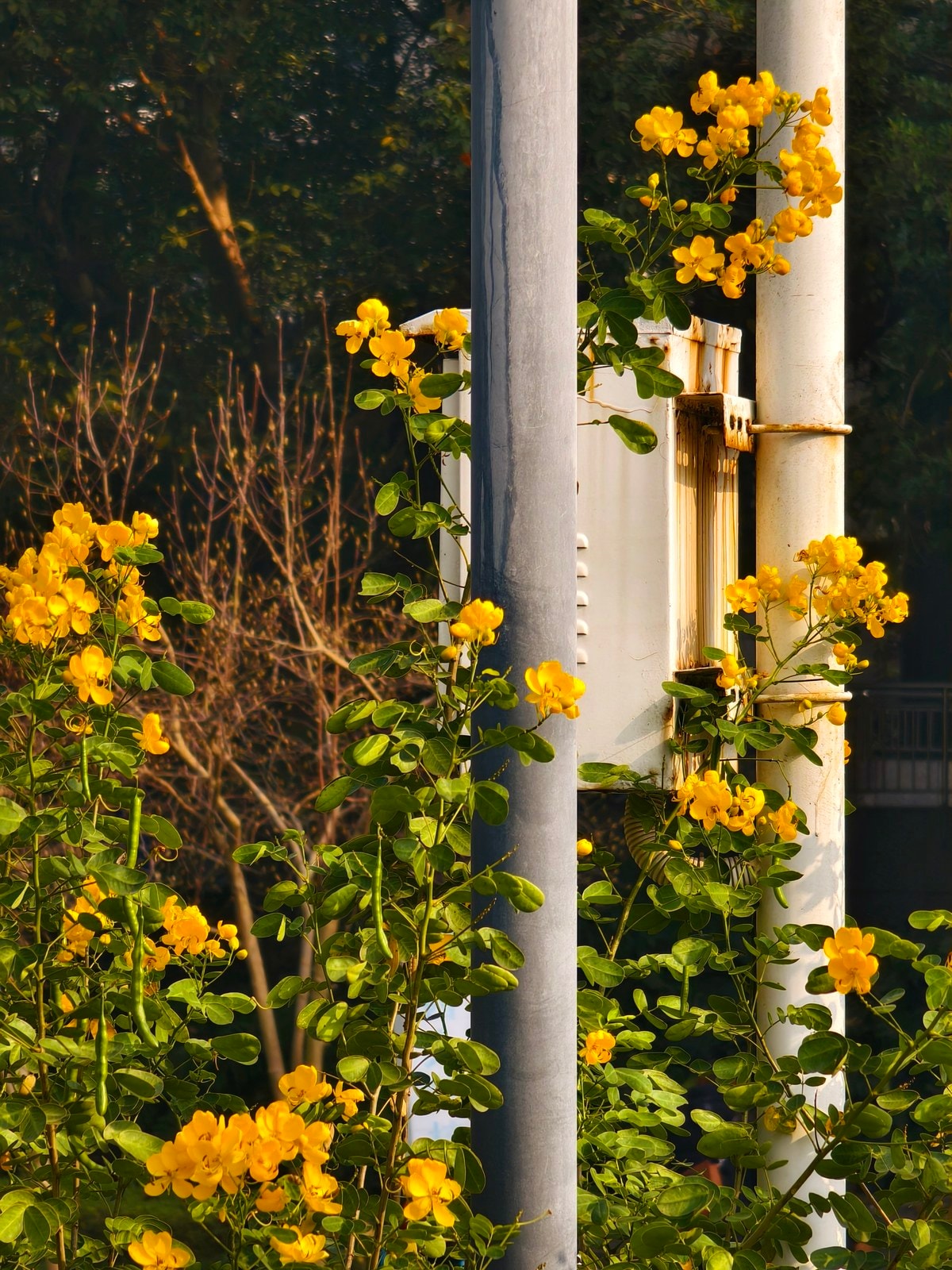 未命名项目-002 04