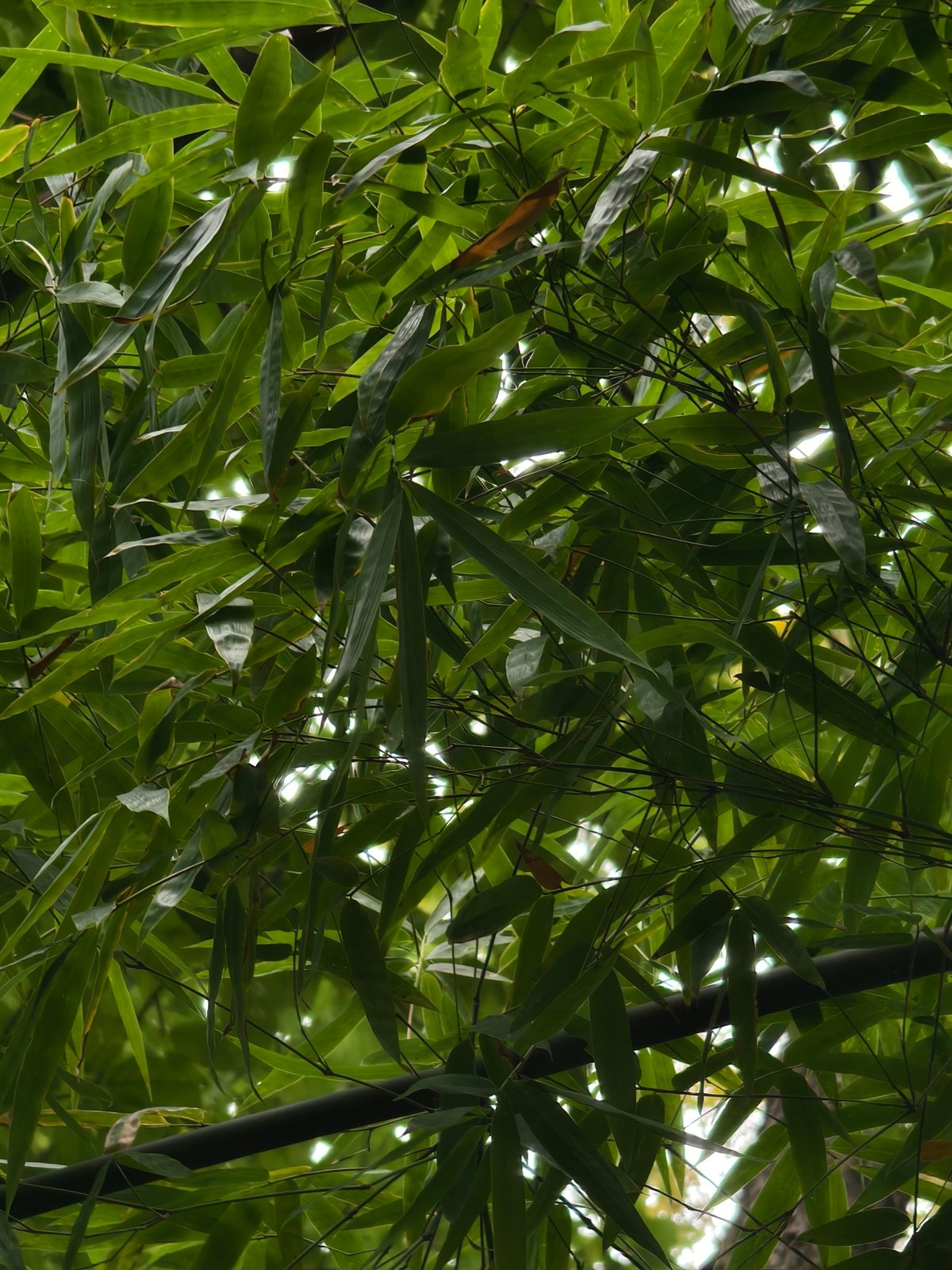 未命名项目-003 06